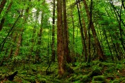 三亚亚沙会：赵一程在随后的决赛中稳扎稳打，夺得该项目金牌，实现“单日破纪录+夺冠”。