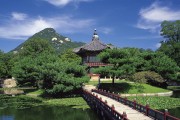 世界短道速滑赛赛程紧凑考验体能，世界短道速滑锦标赛百科