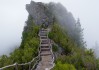 世界短道速滑科研成果发布会：弯道减阻研究获突破，世界短道速滑比赛