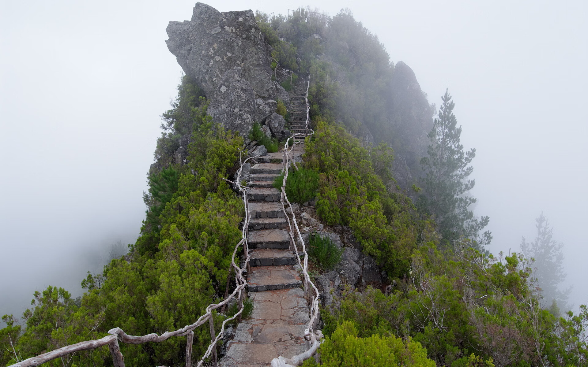 世界短道速滑科研成果发布会:弯道减阻研究获突破,世界短道速滑比赛